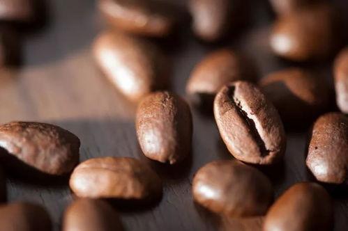 精品咖啡豆,探寻精品咖啡豆的醇香之旅