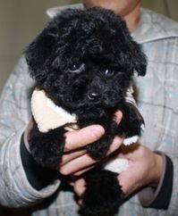 久久只精品,探寻品质生活的奥秘