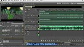 国外精品视频,探索多元文化魅力