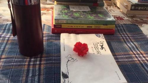 176老精品,探寻历史韵味与现代魅力的完美融合